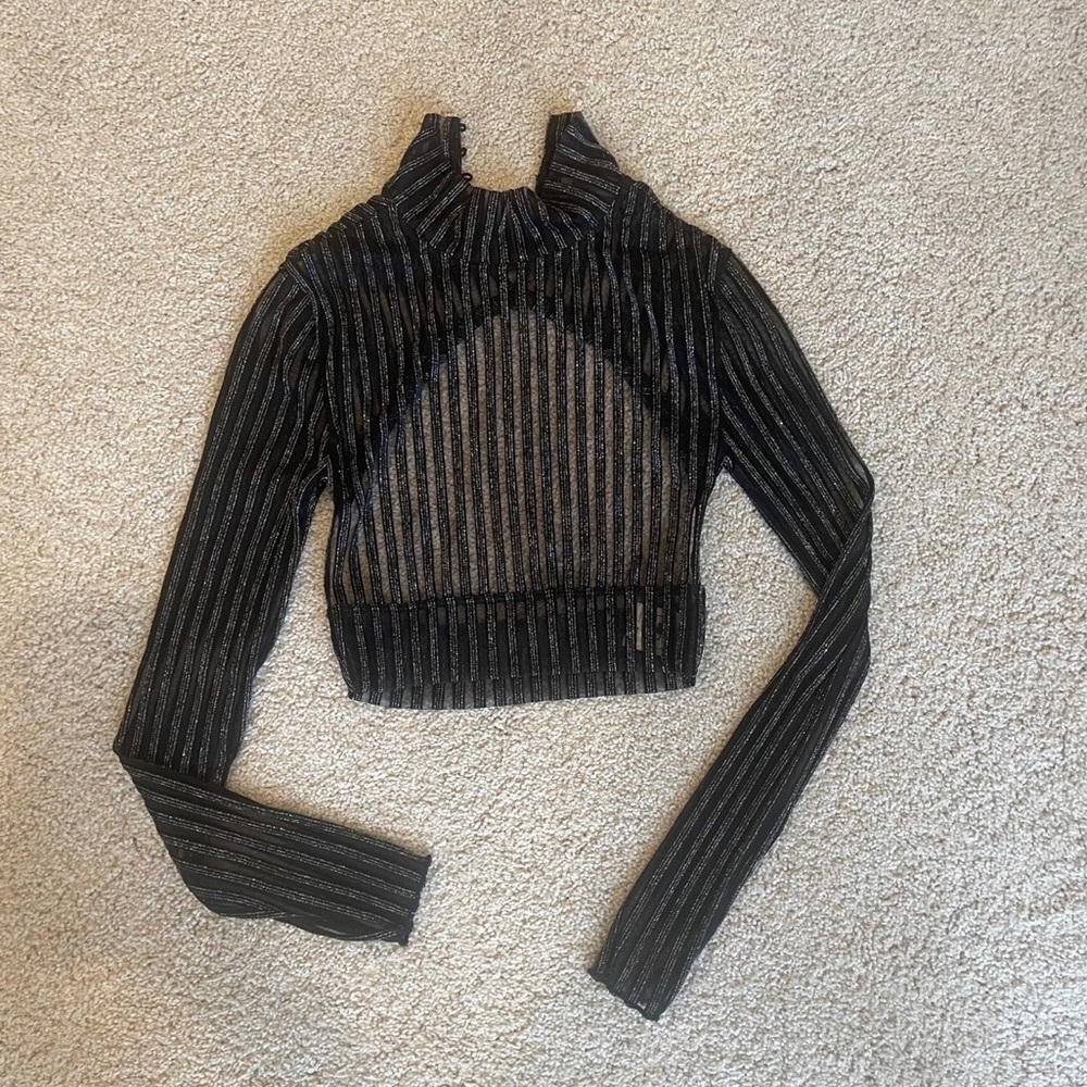 Sheer long sleeve crop top